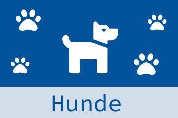 Hunde